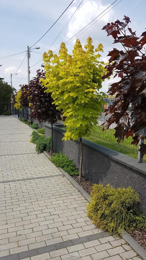 Apartament Angelo 索斯诺维茨 外观 照片